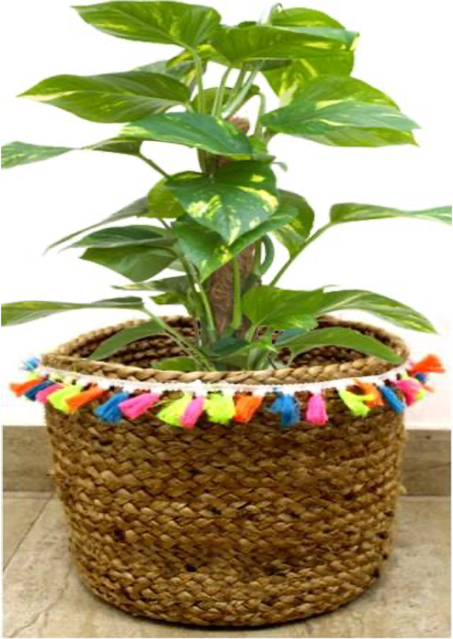 designersterracotta.com Product Picture